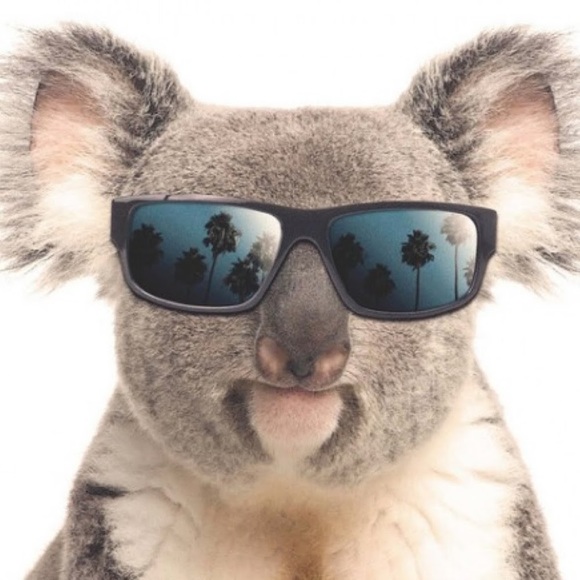 Meet your Posher, Dorrin - Picture 1 of 1